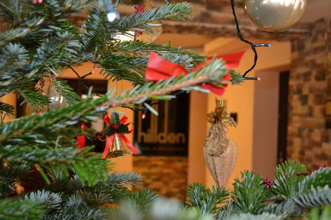 Hotel Hillden Lodge&Restaurant Drumu Carului Exterior foto